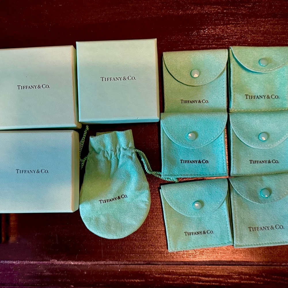 Tiffany & Co. Aqua Pouches